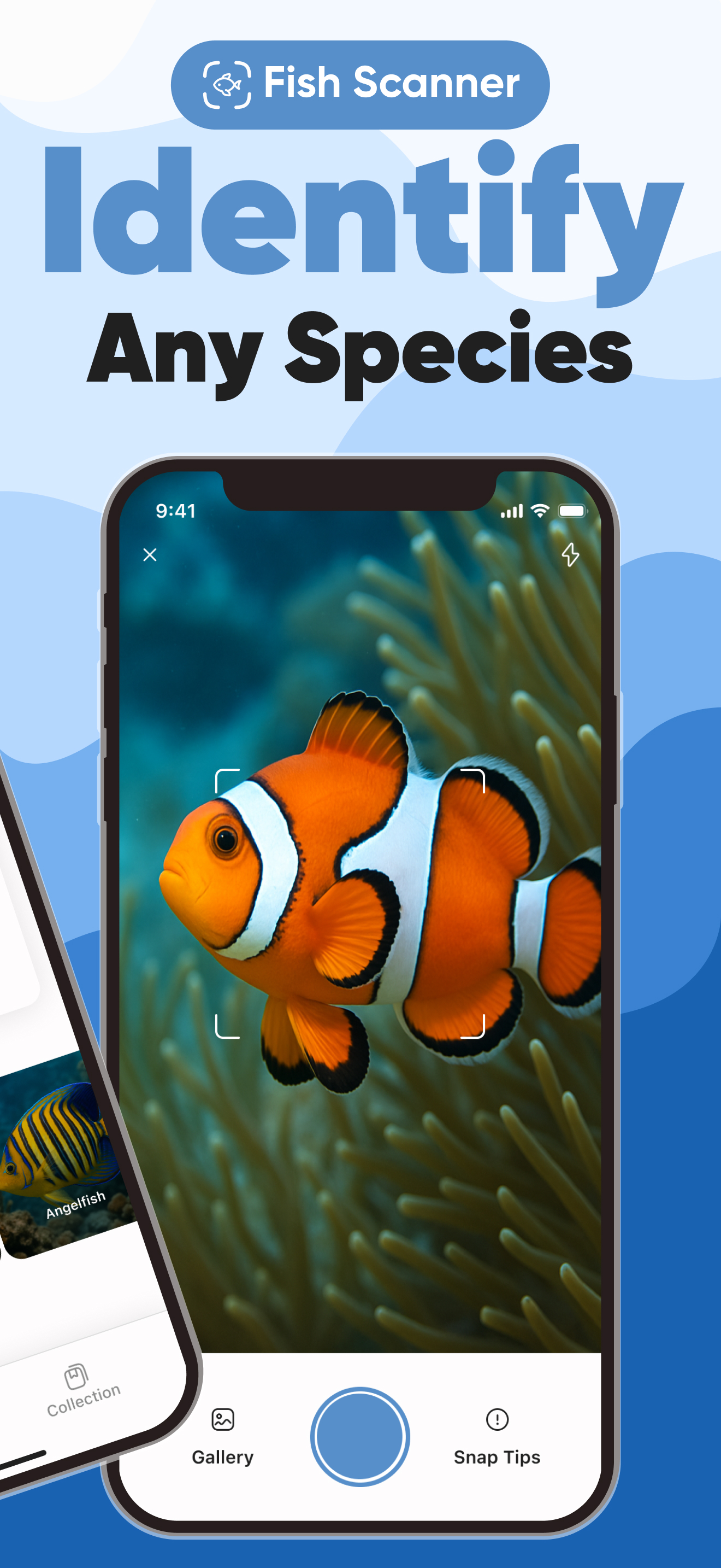 FishGPT Screenshot 2