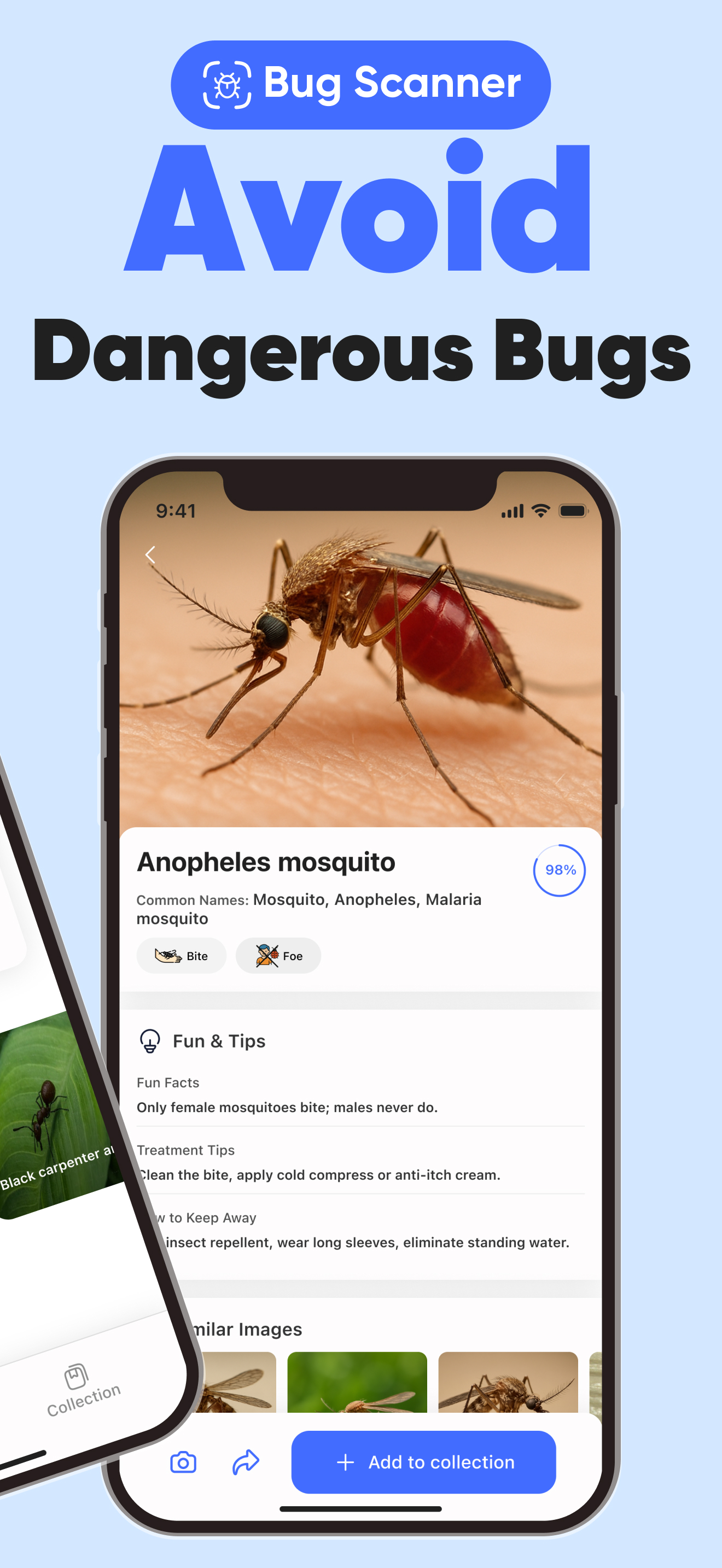 InsectGPT Screenshot 2