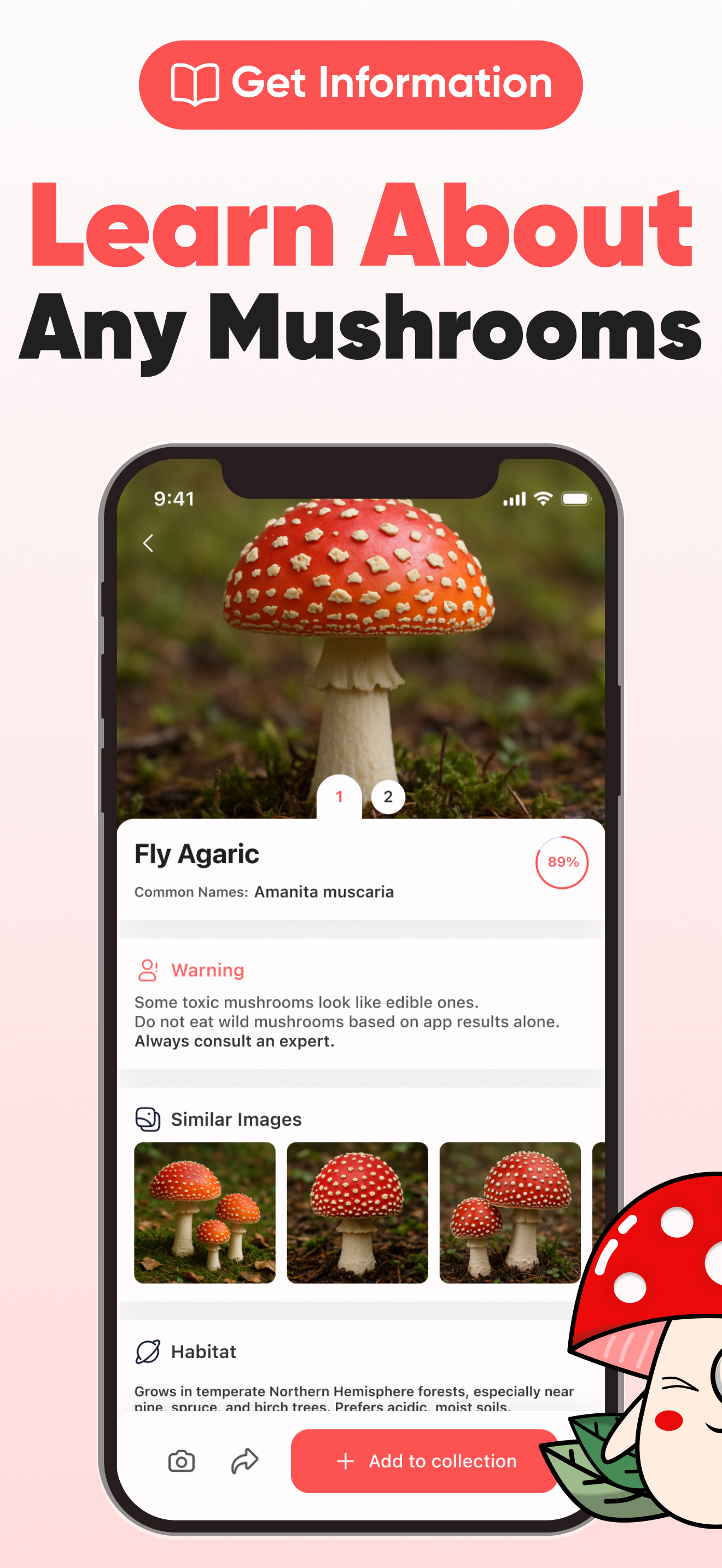 MushGPT Screenshot 3