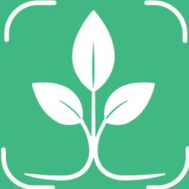 Tree Identifier App Icon